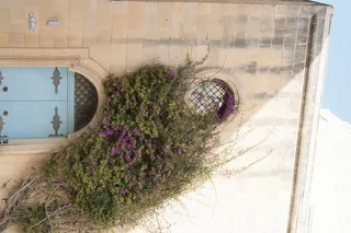 Tamron 28-300mm F3.5-6.3 (EF) - 00003772.webp