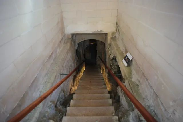 Carl Zeiss Flektogon f4 20mm (m42).md - 00003876.webp