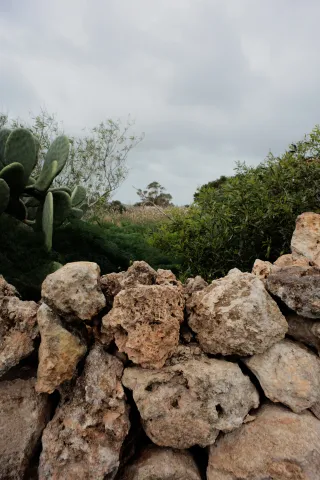 Carl Zeiss Flektogon f4 20mm (m42).md - 00004496.webp