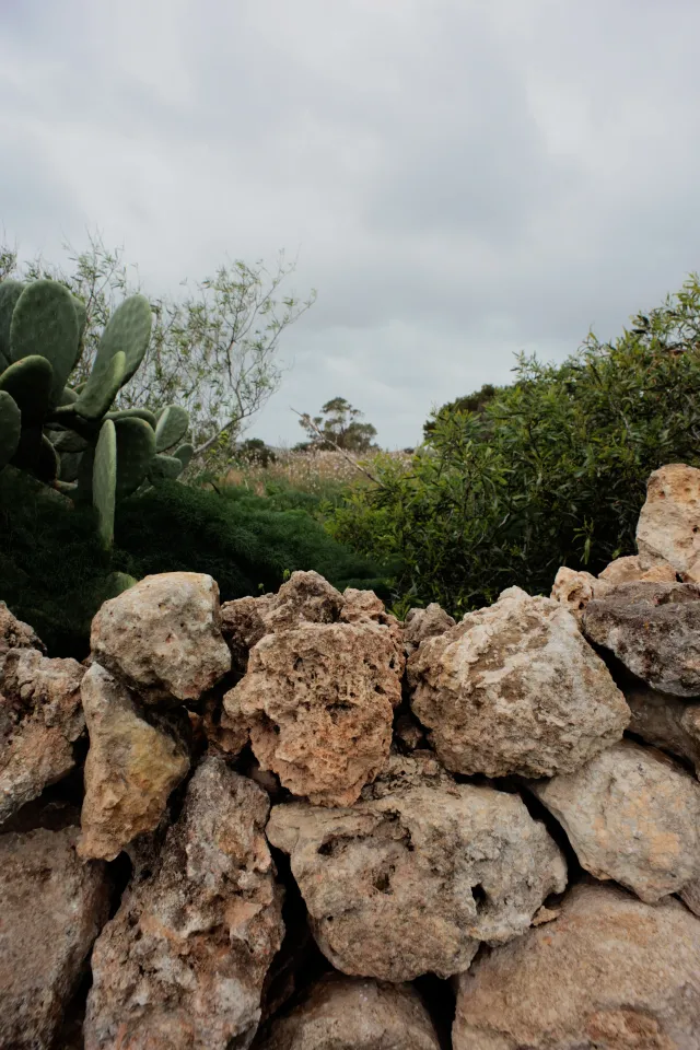 Carl Zeiss Flektogon f4 20mm (m42).md - 00004496.webp