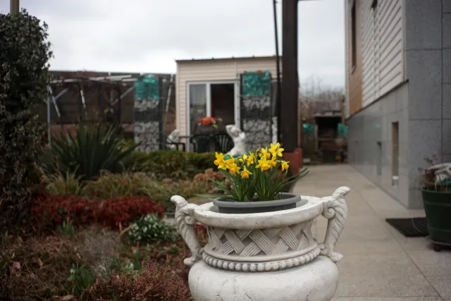 Enna München Lithagon 35mm f3.5 (M42) - 00005182.webp