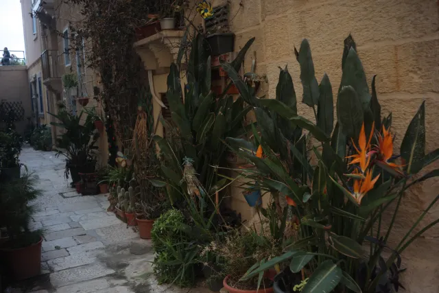 Meyer-Optik Görlitz Primagon 35mm f4.5 (M42) - 00003502.webp