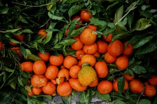 Tokina 28mm F2.8 RMC (Minolta MD) - 00002753.webp