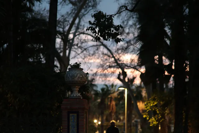 Osawa 135mm f2.8 (Minolta MD) - 00002776.webp