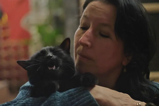 Olympus OM-System Zuiko MC Auto-S 50mm f1.8 (Olympus OM) - 00004950.webp