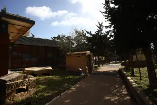 Carl Zeiss Flektogon f4 20mm (m42).md - 00003960.webp