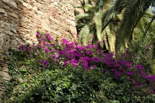 Meyer-Optik Görlitz Primagon 35mm f4.5 (M42) - 00001136.webp