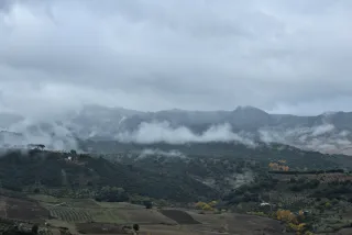 Tamron 28-300mm F3.5-6.3 (EF) - 00001451.webp