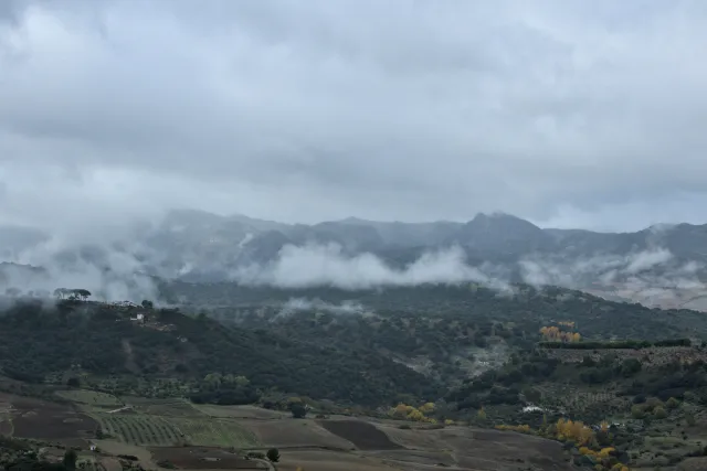 Tamron 28-300mm F3.5-6.3 (EF) - 00001451.webp