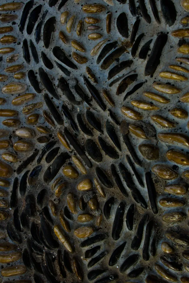 Tamron 28-300mm F3.5-6.3 (EF) - 00001075.webp