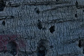 Zenith Helios-77M-4 50mm f1.8 VOMZ (M42) - 00000191.webp