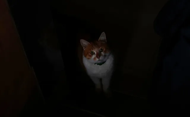 Asahi Opt. Co. SMC Pentax-M 50mm f1.7 (Pentax-K) - 00004727.webp