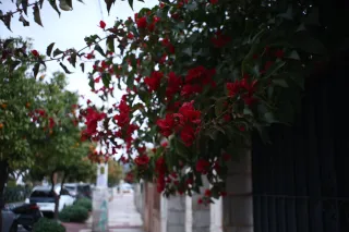 Auto Exaktar EEM 35mm f2.8 ( Minolta MD) - 00002260.webp