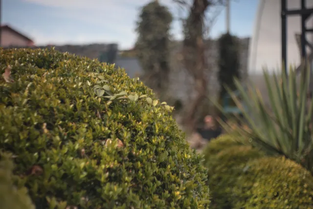 Meyer-Optik Görlitz Domiplan f2.8 50mm (M42) - 00005140.webp