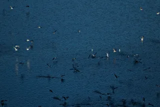 Tamron 28-300mm F3.5-6.3 (EF) - 00000784.webp