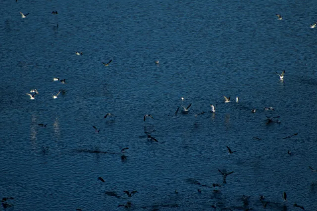 Tamron 28-300mm F3.5-6.3 (EF) - 00000784.webp