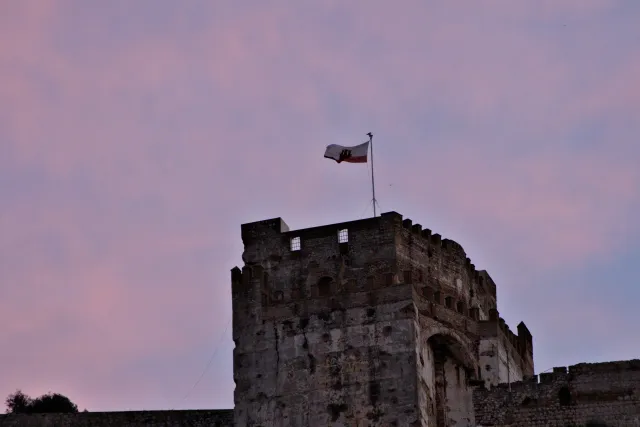 Tamron 28-300mm F3.5-6.3 (EF) - 00001489.webp