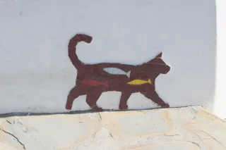 Zenith Helios-77M-4 50mm f1.8 VOMZ (M42) - 00000358.webp