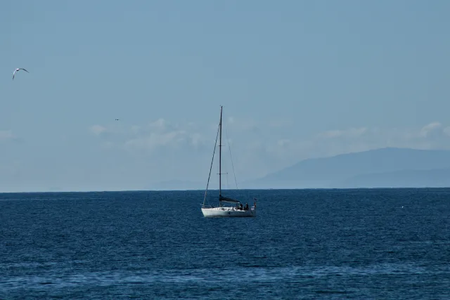 Tamron 28-300mm F3.5-6.3 (EF) - 00001063.webp