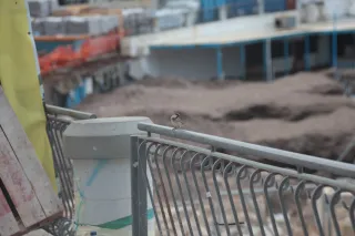 Tair-11A 135mm f2.8 (M42) - 00003332.webp