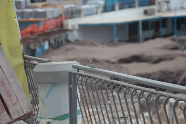 Tair-11A 135mm f2.8 (M42) - 00003332.webp