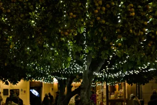 Zenith Helios-77M-4 50mm f1.8 VOMZ (M42) - 00000968.webp