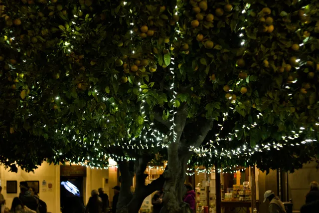 Zenith Helios-77M-4 50mm f1.8 VOMZ (M42) - 00000968.webp