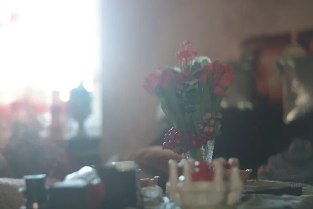 Leitz Wetzlar Hektor 85mm f2.5 (DIY) - 00004776.webp