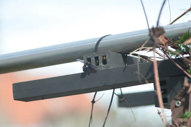 Jupiter-21M 200mm f4 (M42) - 00005654.webp