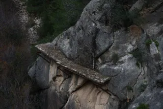 Osawa 135mm f2.8 (Minolta MD) - 00002942.webp