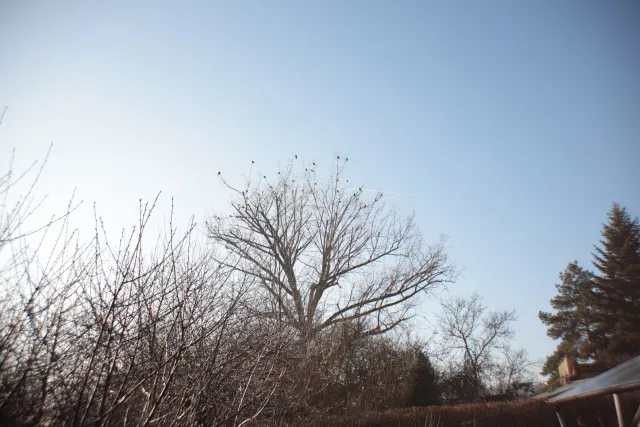 Auto Exaktar EEM 35mm f2.8 ( Minolta MD) - 00002013.webp