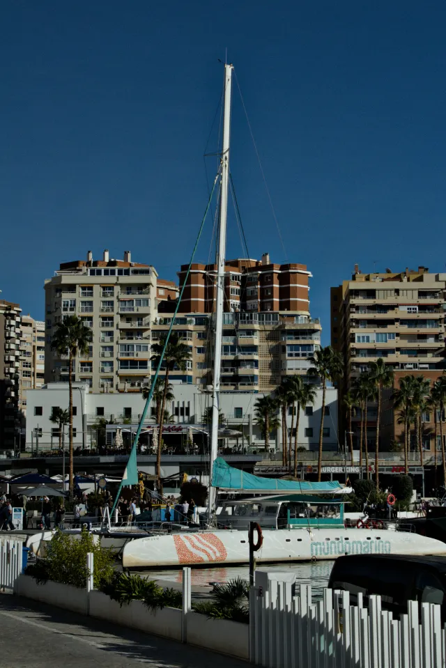 Tamron 28-300mm F3.5-6.3 (EF) - 00000384.webp