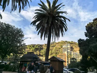 HUAWEI Pura 70 Ultra - System Aparatów - 00002345.webp