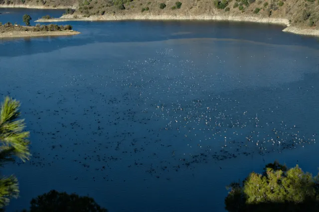 Tamron 28-300mm F3.5-6.3 (EF) - 00000776.webp