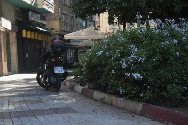 Meyer-Optik Görlitz Primagon 35mm f4.5 (M42) - 00002492.webp