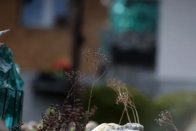 Custom Portrait Lens 70mm f2.8 (M42) - 00005156.webp