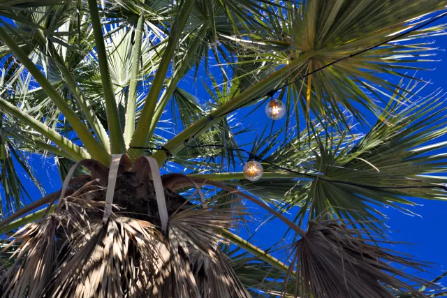 Zenith Helios-77M-4 50mm f1.8 VOMZ (M42) - 00000749.webp