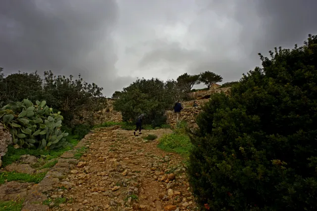 Carl Zeiss Flektogon f4 20mm (m42).md - 00004434.webp