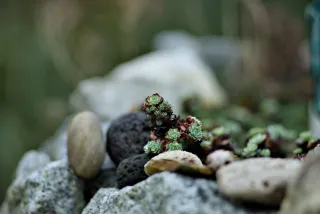 Carl Zeiss Jena Sonnar 180mm f2.8 MC (P6) - 00001531.webp