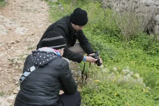 Tamron 28-300mm F3.5-6.3 (EF) - 00004573.webp