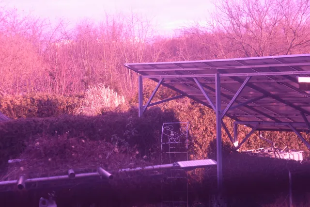 PZO Janpol Color 80mm f5.6 (M42) - 00001938.webp