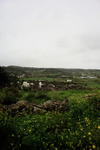 Carl Zeiss Flektogon f4 20mm (m42).md - 00004458.webp