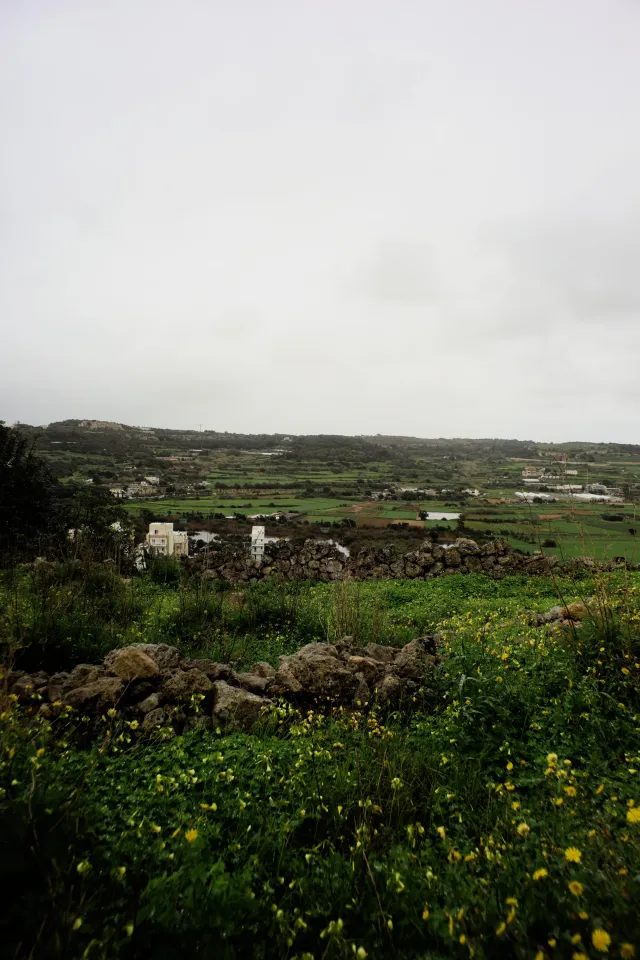 Carl Zeiss Flektogon f4 20mm (m42).md - 00004458.webp