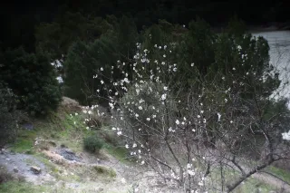 Auto Exaktar EEM 35mm f2.8 ( Minolta MD) - 00003077.webp