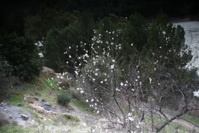 Auto Exaktar EEM 35mm f2.8 ( Minolta MD) - 00003077.webp