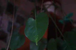 Edar f2.8 100mm ŁZK (M42) - Wersja Eksportowa - 00002287.webp