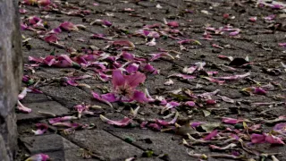 Industar-50-2 50mm f3.5 (M42) - 00002397.webp