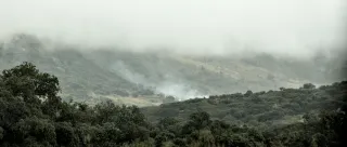 Tamron 28-300mm F3.5-6.3 (EF) - 00001467.webp