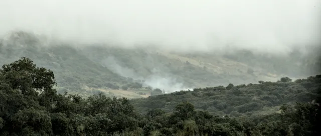 Tamron 28-300mm F3.5-6.3 (EF) - 00001467.webp