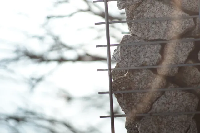 Canon Lens FD 135mm f2.5 S.C. (FD) - 00005275.webp